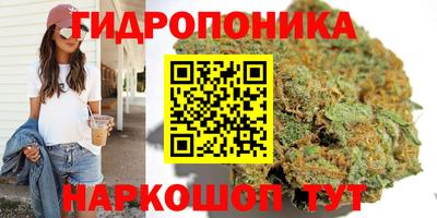 скорость Лесосибирск
