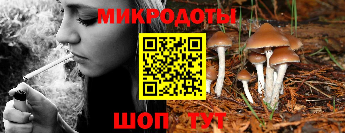 Галлюциногенные грибы Psilocybine cubensis  где продают наркотики  Усть-Джегута  Вход с VPN 