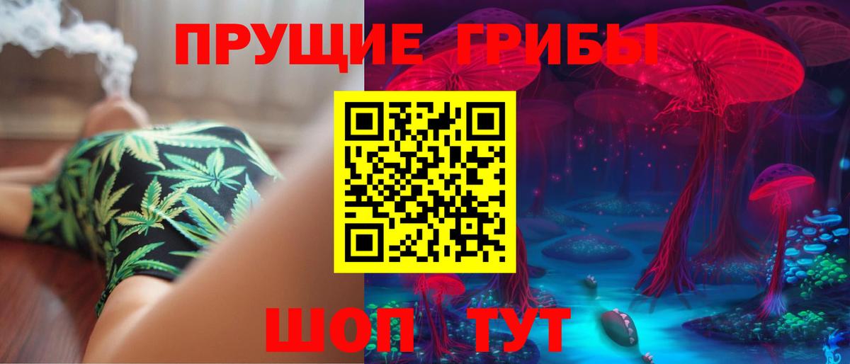 Псилоцибиновые грибы GOLDEN TEACHER Усть-Джегута